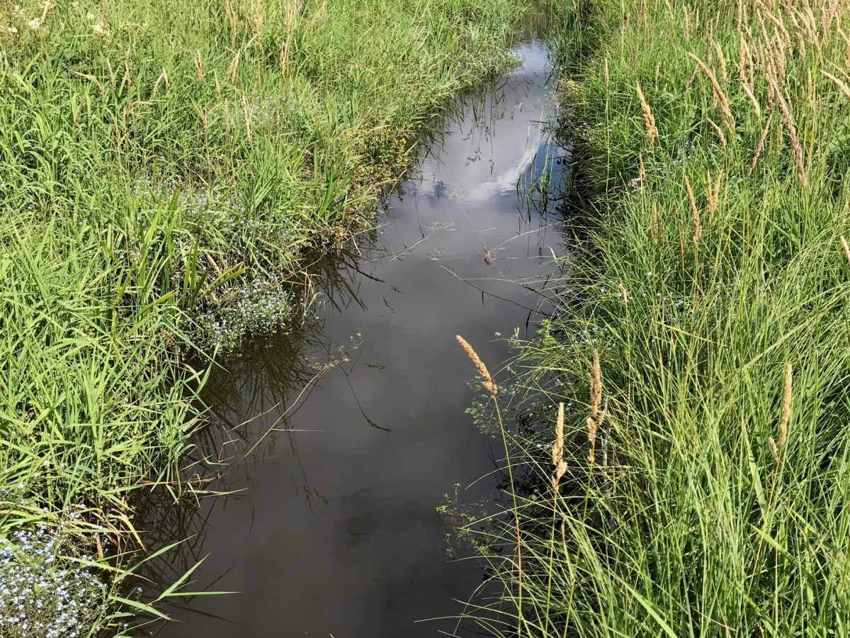 A Sunday morning well&nbsp;spent